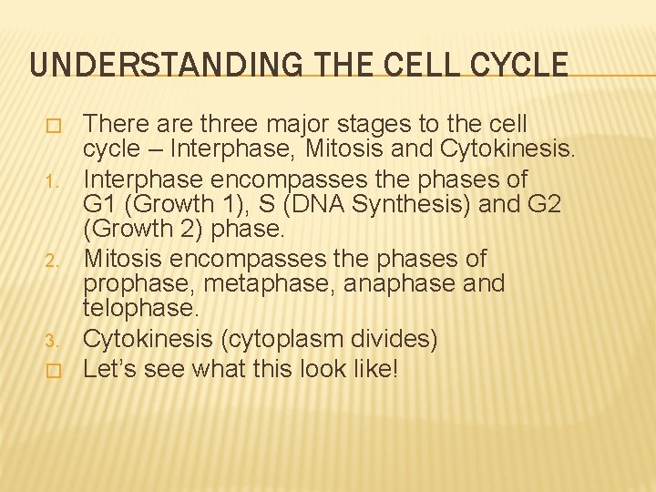 UNDERSTANDING THE CELL CYCLE � 1. 2. 3. � There are three major stages