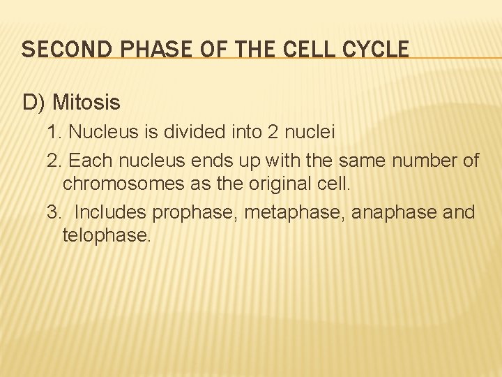 SECOND PHASE OF THE CELL CYCLE D) Mitosis 1. Nucleus is divided into 2