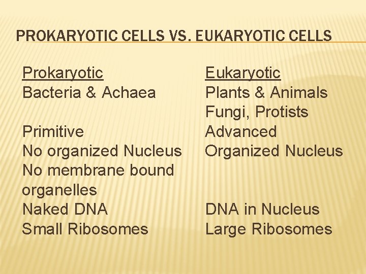 PROKARYOTIC CELLS VS. EUKARYOTIC CELLS Prokaryotic Bacteria & Achaea Primitive No organized Nucleus No
