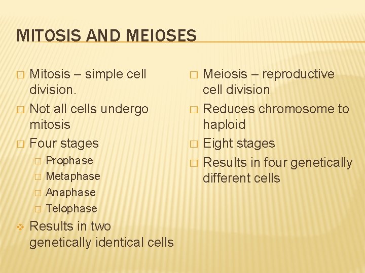 MITOSIS AND MEIOSES � � � Mitosis – simple cell division. Not all cells