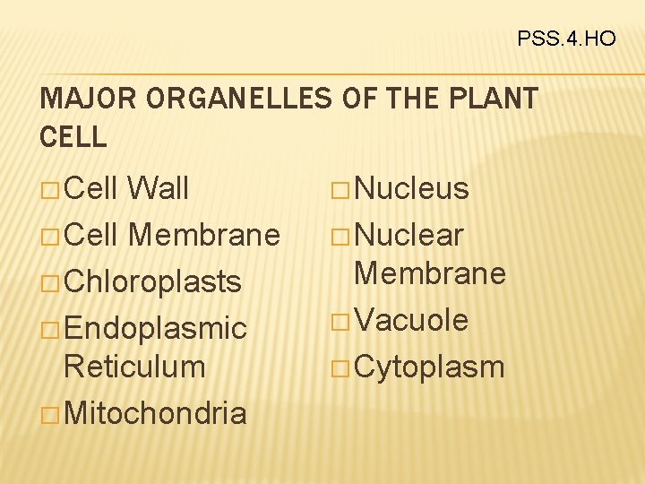 PSS. 4. HO MAJOR ORGANELLES OF THE PLANT CELL � Cell Wall � Cell