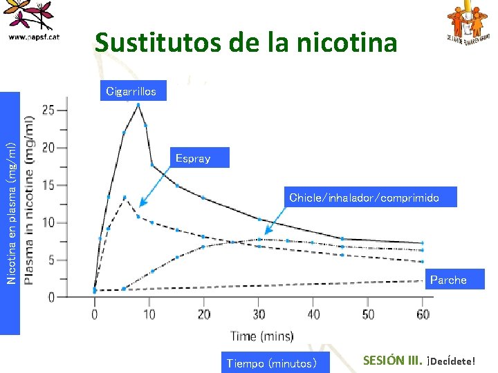 Sustitutos de la nicotina Nicotina en plasma (mg/ml) Cigarrillos Espray Chicle/inhalador/comprimido Parche Tiempo (minutos)