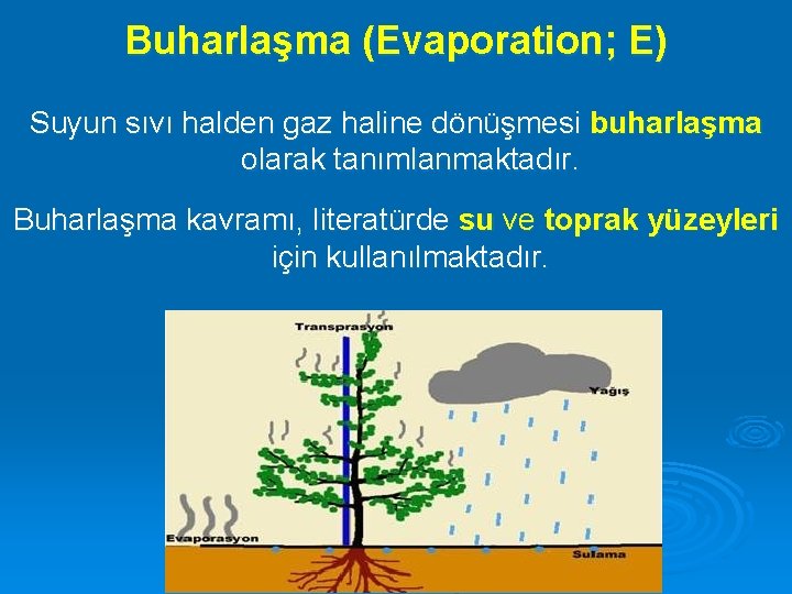 Buharlaşma (Evaporation; E) Suyun sıvı halden gaz haline dönüşmesi buharlaşma olarak tanımlanmaktadır. Buharlaşma kavramı,