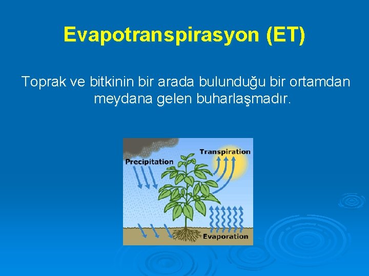 Evapotranspirasyon (ET) Toprak ve bitkinin bir arada bulunduğu bir ortamdan meydana gelen buharlaşmadır. 