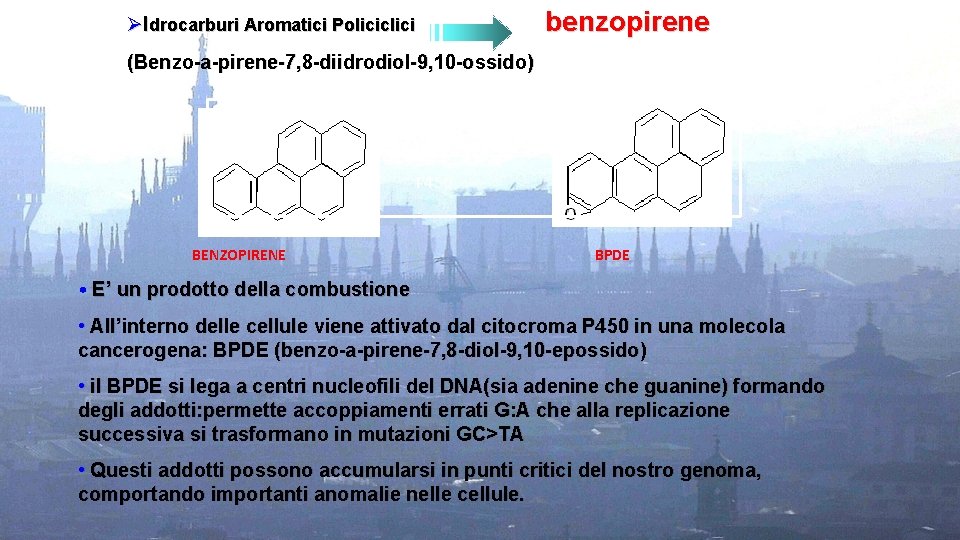 ØIdrocarburi Aromatici Policiclici benzopirene (Benzo-a-pirene-7, 8 -diidrodiol-9, 10 -ossido) O 2 P 450 BENZOPIRENE