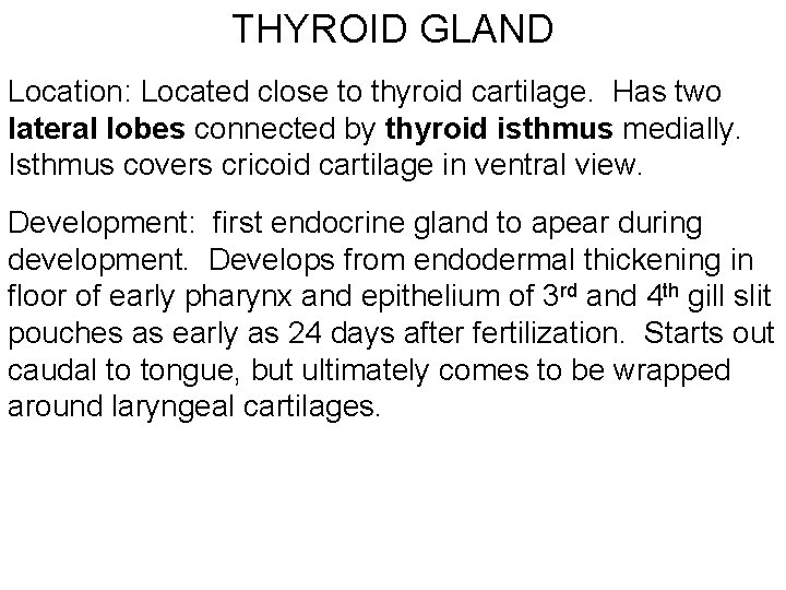 THYROID GLAND Location: Located close to thyroid cartilage. Has two lateral lobes connected by