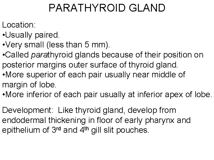 PARATHYROID GLAND Location: • Usually paired. • Very small (less than 5 mm). •