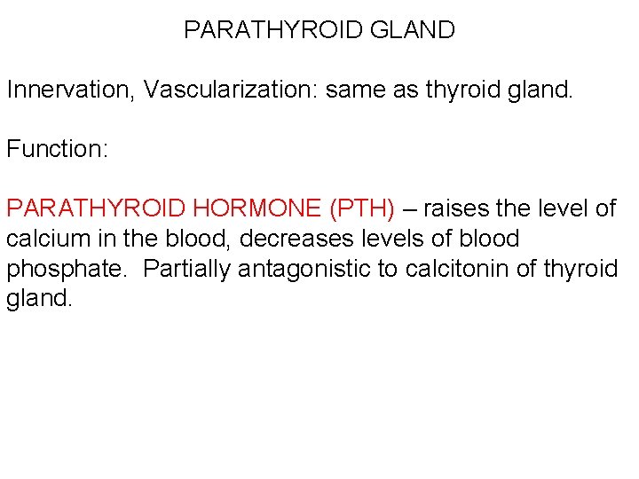 PARATHYROID GLAND Innervation, Vascularization: same as thyroid gland. Function: PARATHYROID HORMONE (PTH) – raises