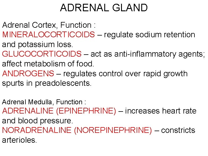 ADRENAL GLAND Adrenal Cortex, Function : MINERALOCORTICOIDS – regulate sodium retention and potassium loss.