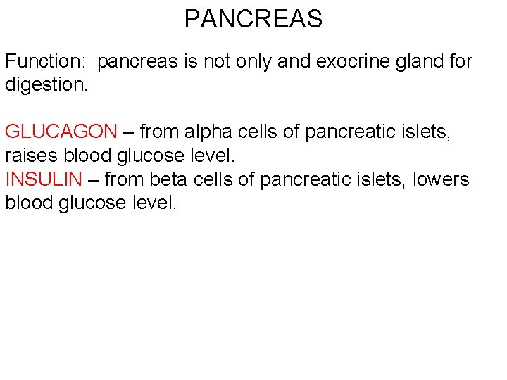 PANCREAS Function: pancreas is not only and exocrine gland for digestion. GLUCAGON – from