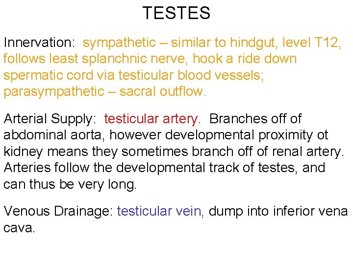 TESTES Innervation: sympathetic – similar to hindgut, level T 12, follows least splanchnic nerve,