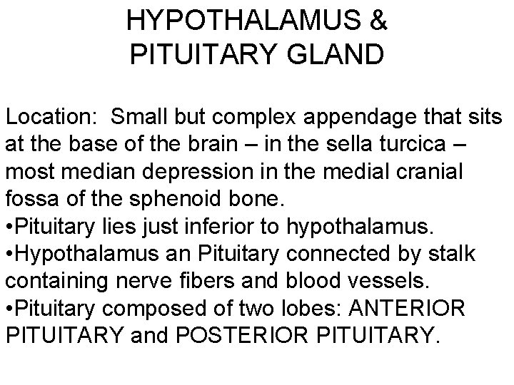 HYPOTHALAMUS & PITUITARY GLAND Location: Small but complex appendage that sits at the base