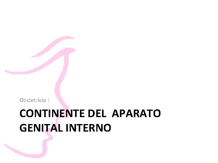 Obstetricia I CONTINENTE DEL APARATO GENITAL INTERNO 