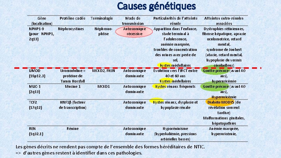 Causes génétiques Gène (localisation) NPHP 1 -9 (pour NPHP 1, 2 q 13) UMOD