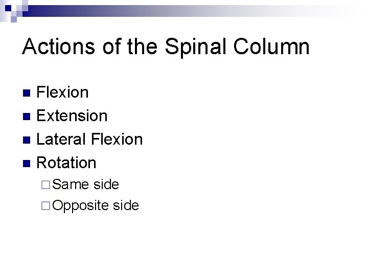 Actions of the Spinal Column Flexion n Extension n Lateral Flexion n Rotation n