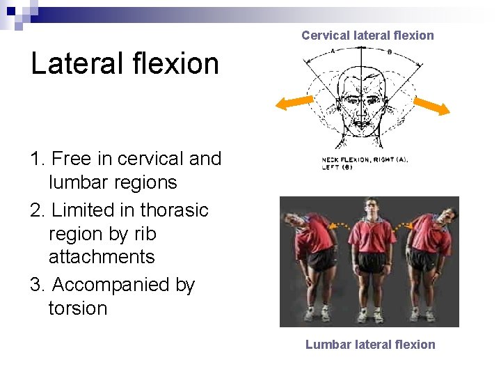 Cervical lateral flexion Lateral flexion 1. Free in cervical and lumbar regions 2. Limited