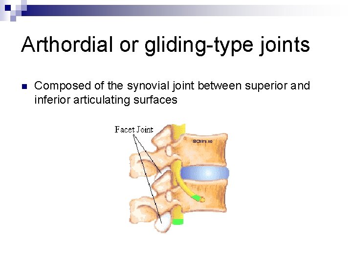 Arthordial or gliding-type joints n Composed of the synovial joint between superior and inferior