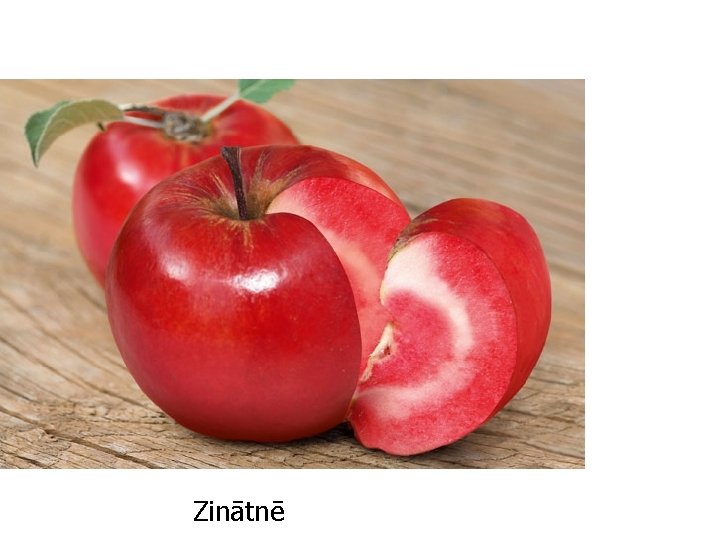 Zinātnē 