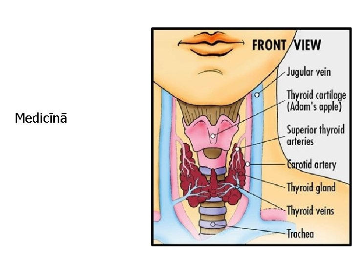 Medicīnā 
