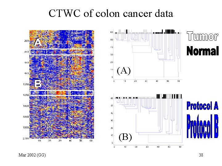 CTWC of colon cancer data (A) (B) Mar 2002 (GG) 38 