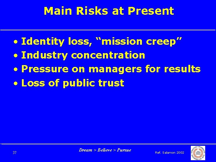 Main Risks at Present • Identity loss, “mission creep” • Industry concentration • Pressure