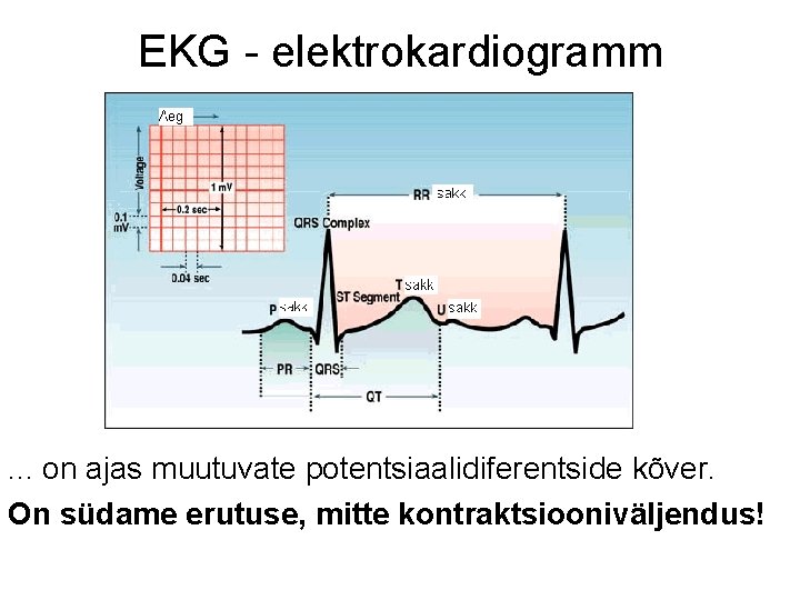 EKG - elektrokardiogramm . . . on ajas muutuvate potentsiaalidiferentside kõver. On südame erutuse,
