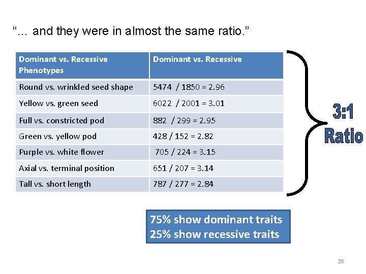 “… and they were in almost the same ratio. ” Dominant vs. Recessive Phenotypes