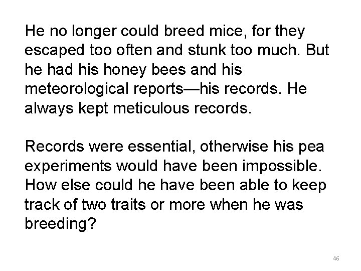 He no longer could breed mice, for they escaped too often and stunk too