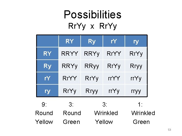 Possibilities Rr. Yy x Rr. Yy RY Ry r. Y ry RY RRYy Rr.