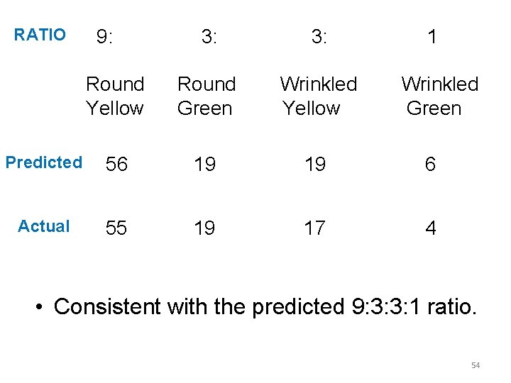 RATIO 9: 3: 1 Round Yellow Round Green Wrinkled Yellow Predicted 56 19 19