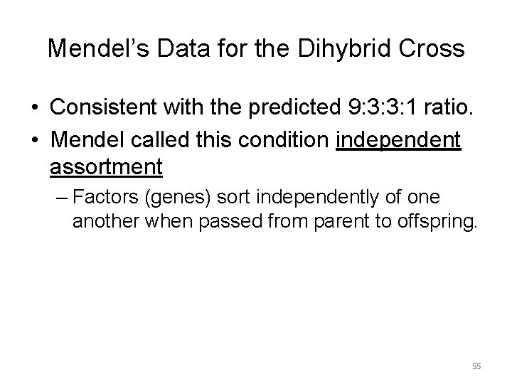 Mendel’s Data for the Dihybrid Cross • Consistent with the predicted 9: 3: 3: