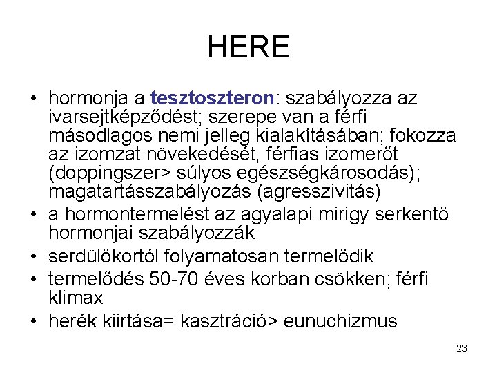 HERE • hormonja a tesztoszteron: szabályozza az ivarsejtképződést; szerepe van a férfi másodlagos nemi