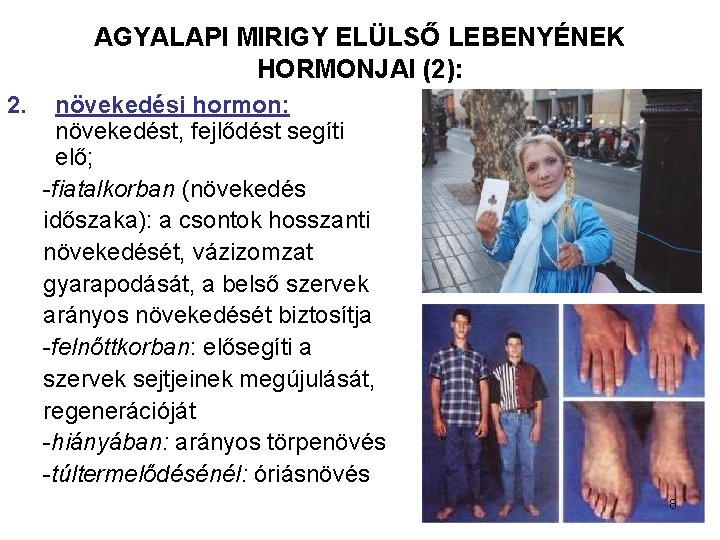 AGYALAPI MIRIGY ELÜLSŐ LEBENYÉNEK HORMONJAI (2): 2. növekedési hormon: növekedést, fejlődést segíti elő; -fiatalkorban