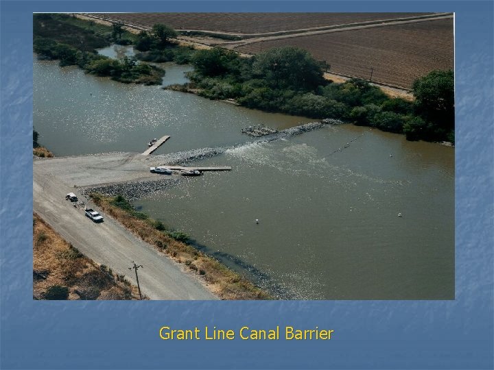 Grant Line Canal Barrier 