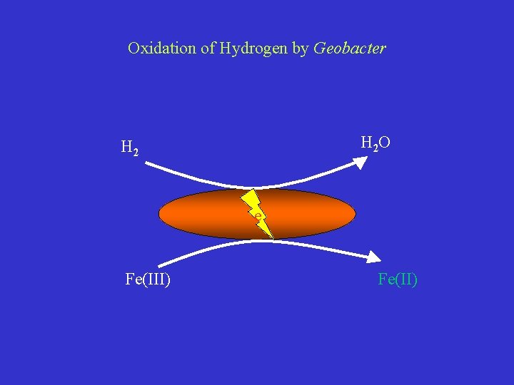 Oxidation of Hydrogen by Geobacter H 2 O H 2 e Fe(III) Fe(II) 