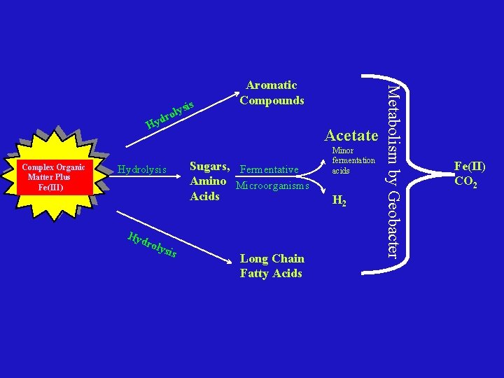 d Hy Complex Organic Matter Plus Fe(III) Hydrolysis Hyd roly sis Acetate Sugars, Fermentative