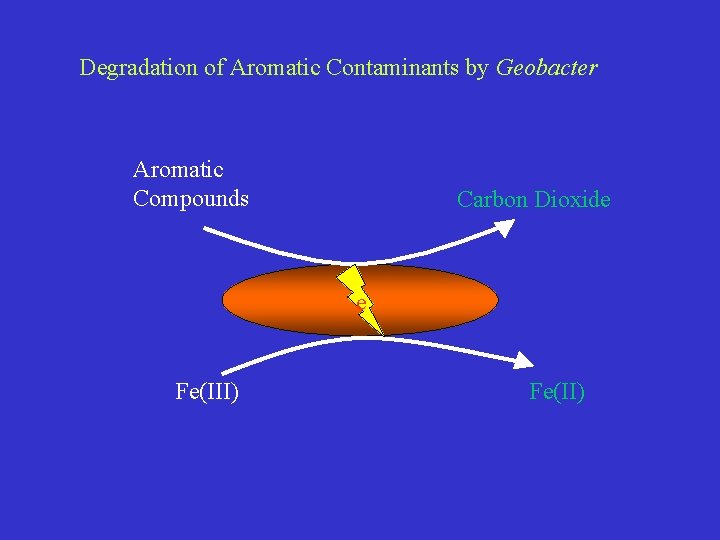 Degradation of Aromatic Contaminants by Geobacter Aromatic Compounds Carbon Dioxide e Fe(III) Fe(II) 