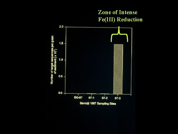 Zone of Intense Fe(III) Reduction 