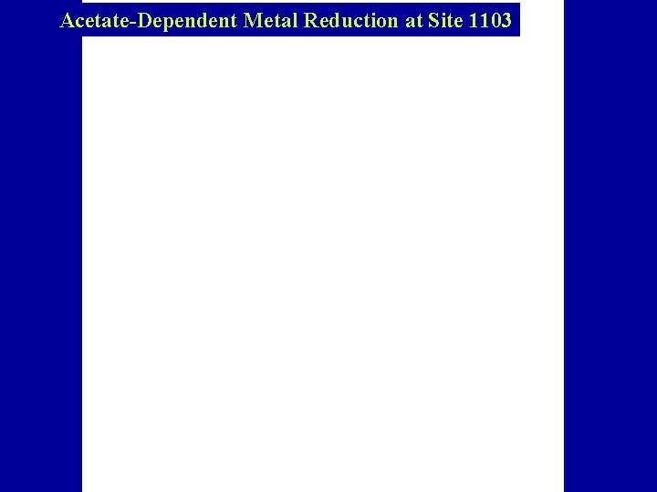 % Fe (II) U(VI) (µM) and NO 3 - (m. M) Acetate-Dependent Metal Reduction