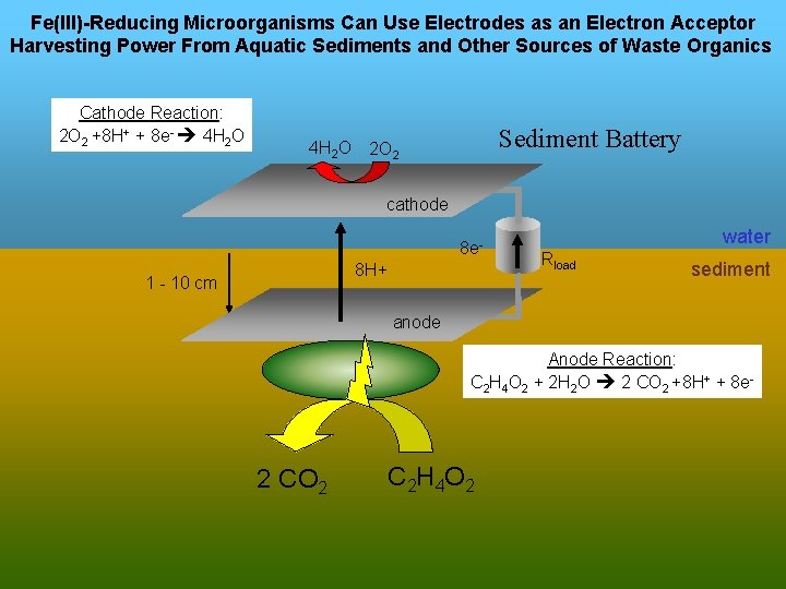 Fe(III)-Reducing Microorganisms Can Use Electrodes as an Electron Acceptor Harvesting Power From Aquatic Sediments