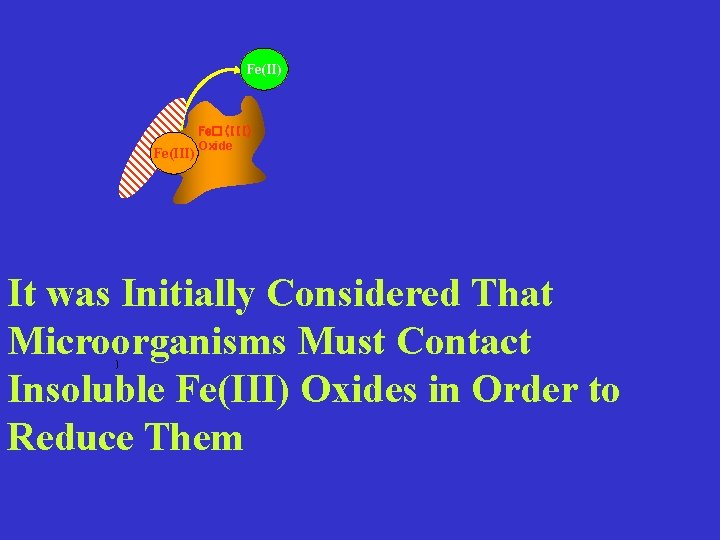 Fe(II) Fe(III) Fe�(III) Oxide It was Initially Considered That Microorganisms Must Contact Insoluble Fe(III)