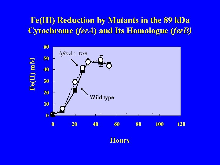Fe(III) Reduction by Mutants in the 89 k. Da Cytochrome (fer. A) and Its