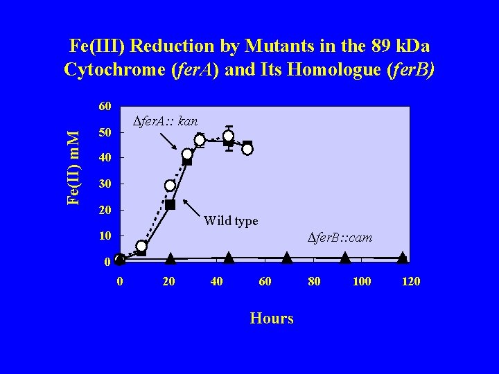 Fe(III) Reduction by Mutants in the 89 k. Da Cytochrome (fer. A) and Its