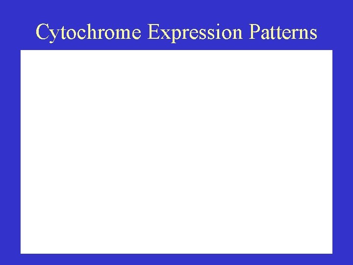Cytochrome Expression Patterns 