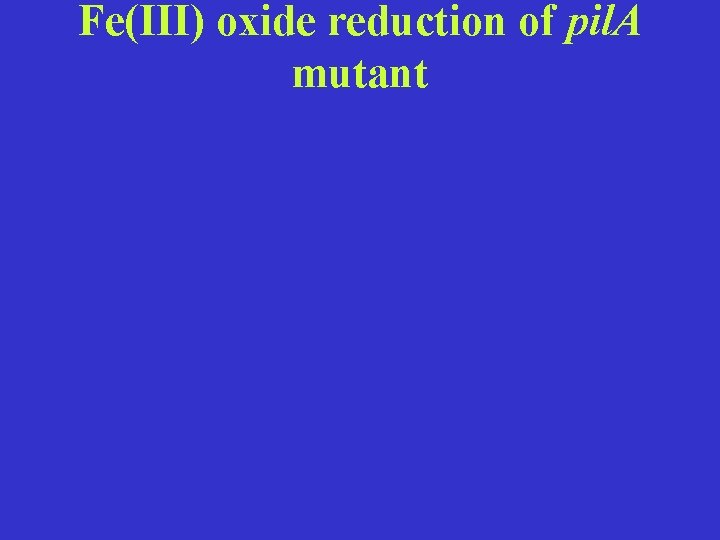 Fe(III) oxide reduction of pil. A mutant 