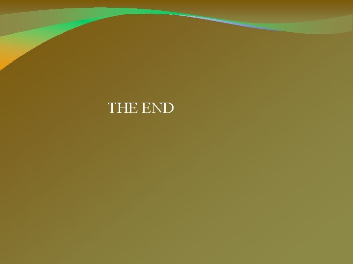 THE END 