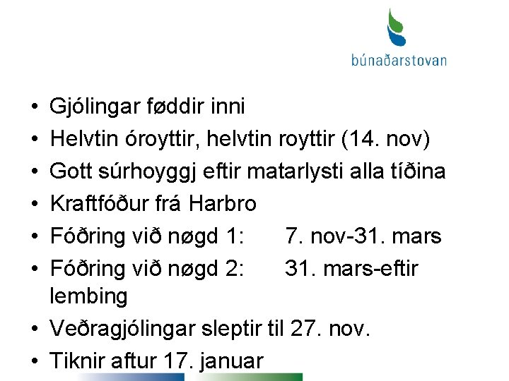  • • • Gjólingar føddir inni Helvtin óroyttir, helvtin royttir (14. nov) Gott