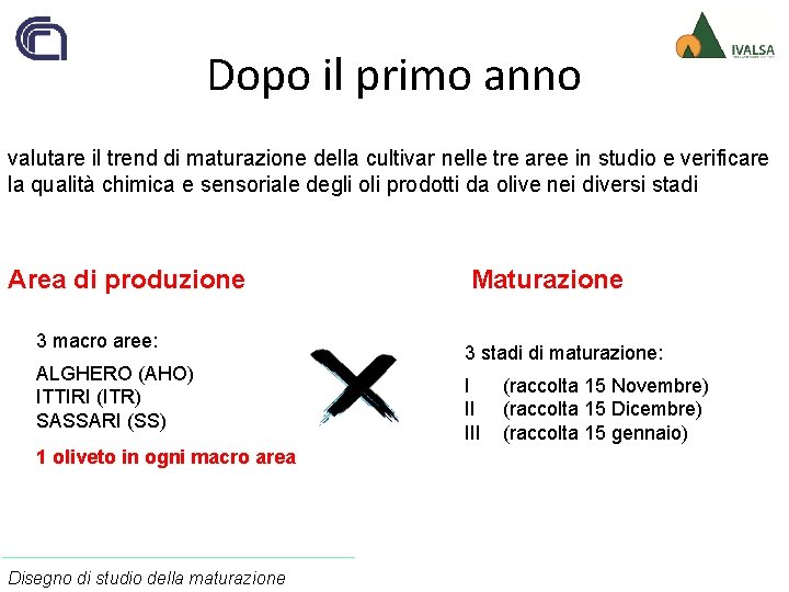 Dopo il primo anno valutare il trend di maturazione della cultivar nelle tre aree