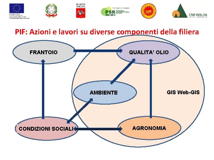 PIF: Azioni e lavori su diverse componenti della filiera FRANTOIO QUALITA’ OLIO GIS Web-GIS