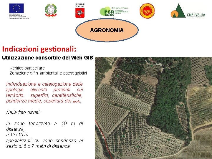 AGRONOMIA Indicazioni gestionali: Utilizzazione consortile del Web GIS Verifica particellare Zonazione a fini ambientali